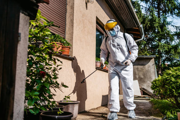 Best Bed Bug Extermination  in Rosend, LA
