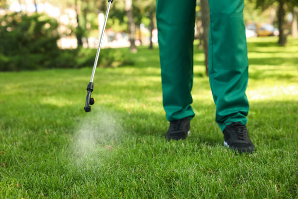 Best Affordable Pest Control Services  in Rosend, LA